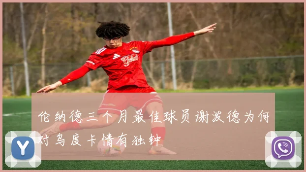 伦纳德三个月最佳球员谢泼德为何对乌度卡情有独钟