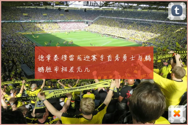 德章泰穆雷或迎赛季首秀勇士与鹈鹕胜率相差无几