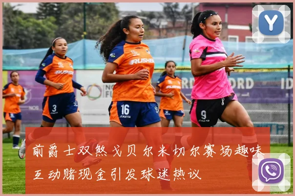 前爵士双煞戈贝尔米切尔赛场趣味互动赌现金引发球迷热议