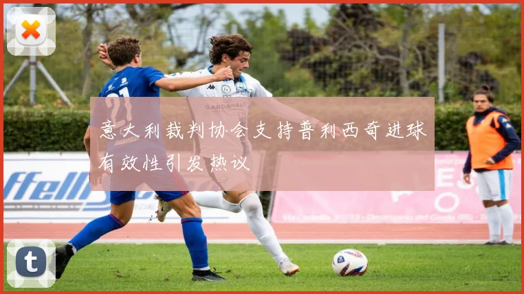 意大利裁判协会支持普利西奇进球有效性引发热议