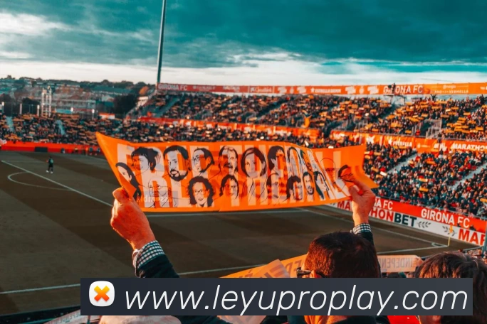 乐鱼体育平台生态图