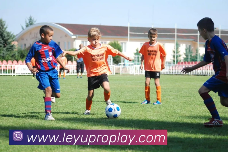 乐鱼体育APP 封面图