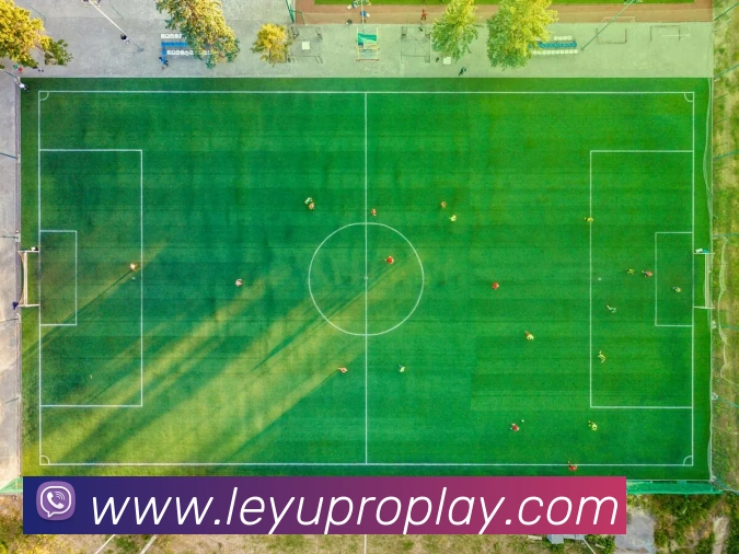 数据防护可视化